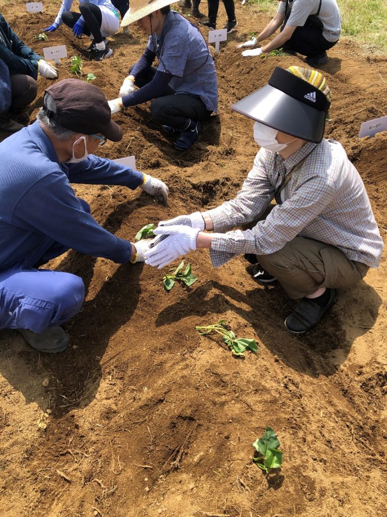 屋外, 草, 座る, 横たわる が含まれている画像 自動的に生成された説明