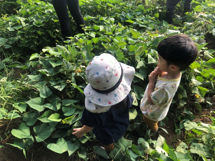 草の上にいる子供

AI 生成コンテンツは誤りを含む可能性があります。