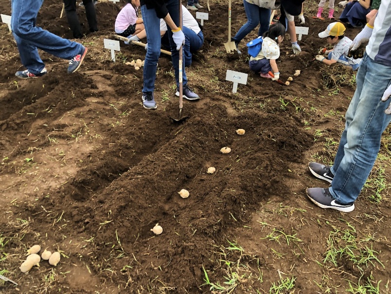 草の上を歩いている人たち

AI 生成コンテンツは誤りを含む可能性があります。