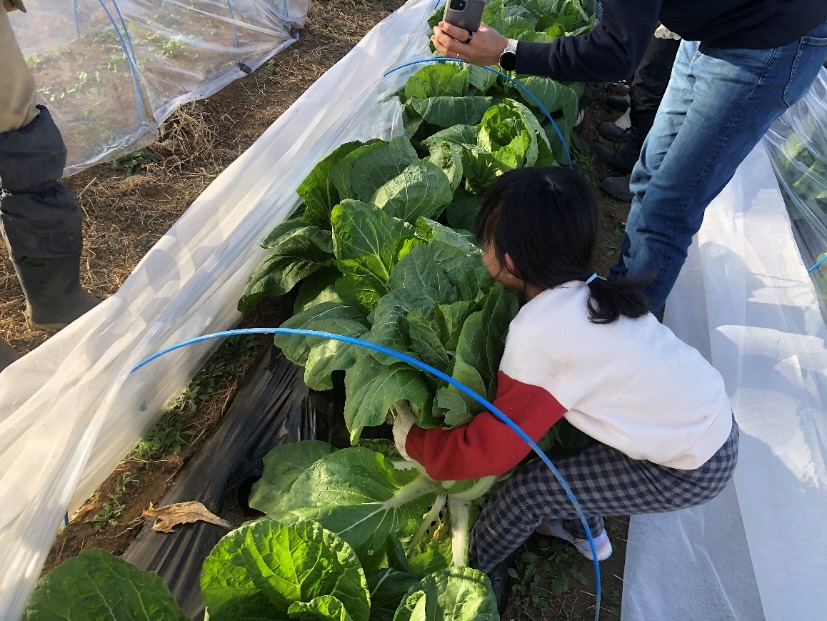 人, 食品, 屋外, 女性 が含まれている画像

AI 生成コンテンツは誤りを含む可能性があります。