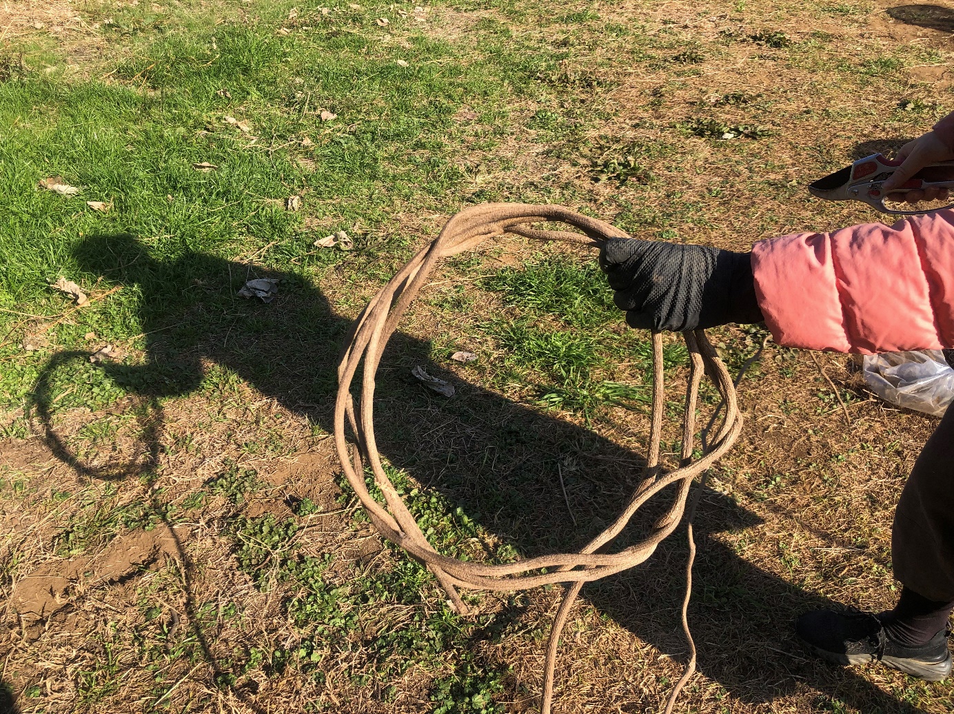 草, 屋外, 座る, 少し が含まれている画像

AI 生成コンテンツは誤りを含む可能性があります。