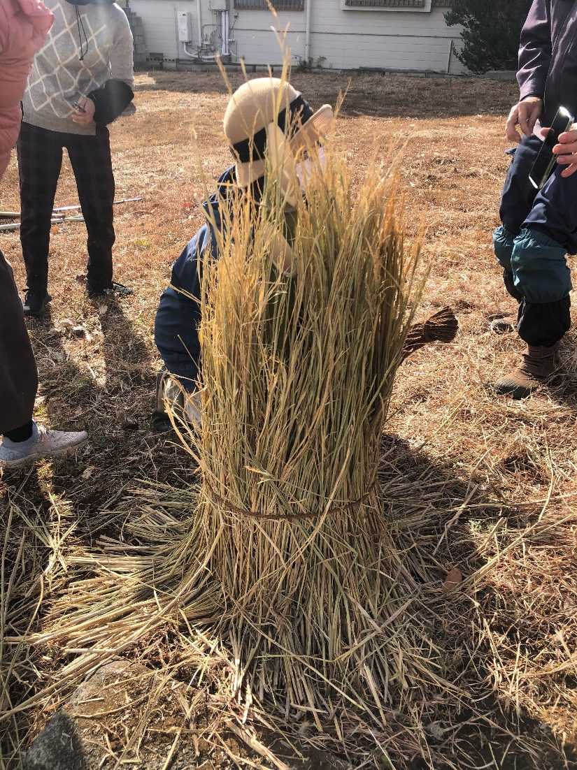 屋外, 草, 干し草, 立つ が含まれている画像

AI 生成コンテンツは誤りを含む可能性があります。