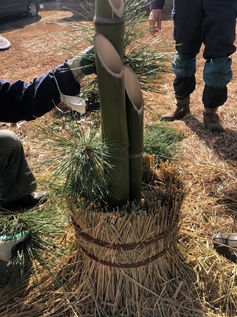 草, 建物, 木, 立つ が含まれている画像 AI 生成コンテンツは誤りを含む可能性があります。