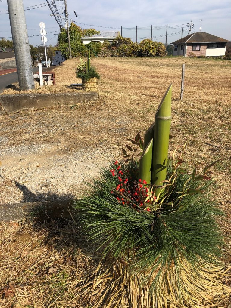 バナナの木 AI 生成コンテンツは誤りを含む可能性があります。