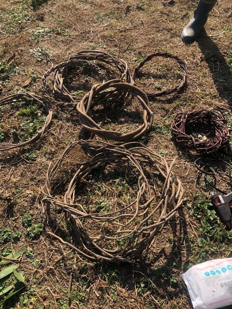 木の枝 AI 生成コンテンツは誤りを含む可能性があります。