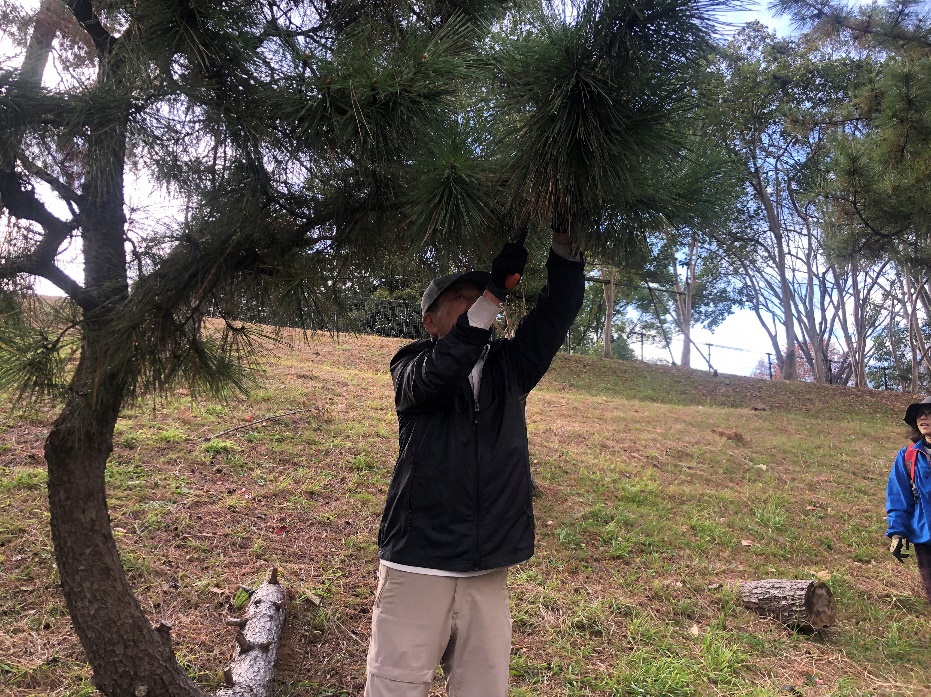 草の上に立っている女性

AI 生成コンテンツは誤りを含む可能性があります。